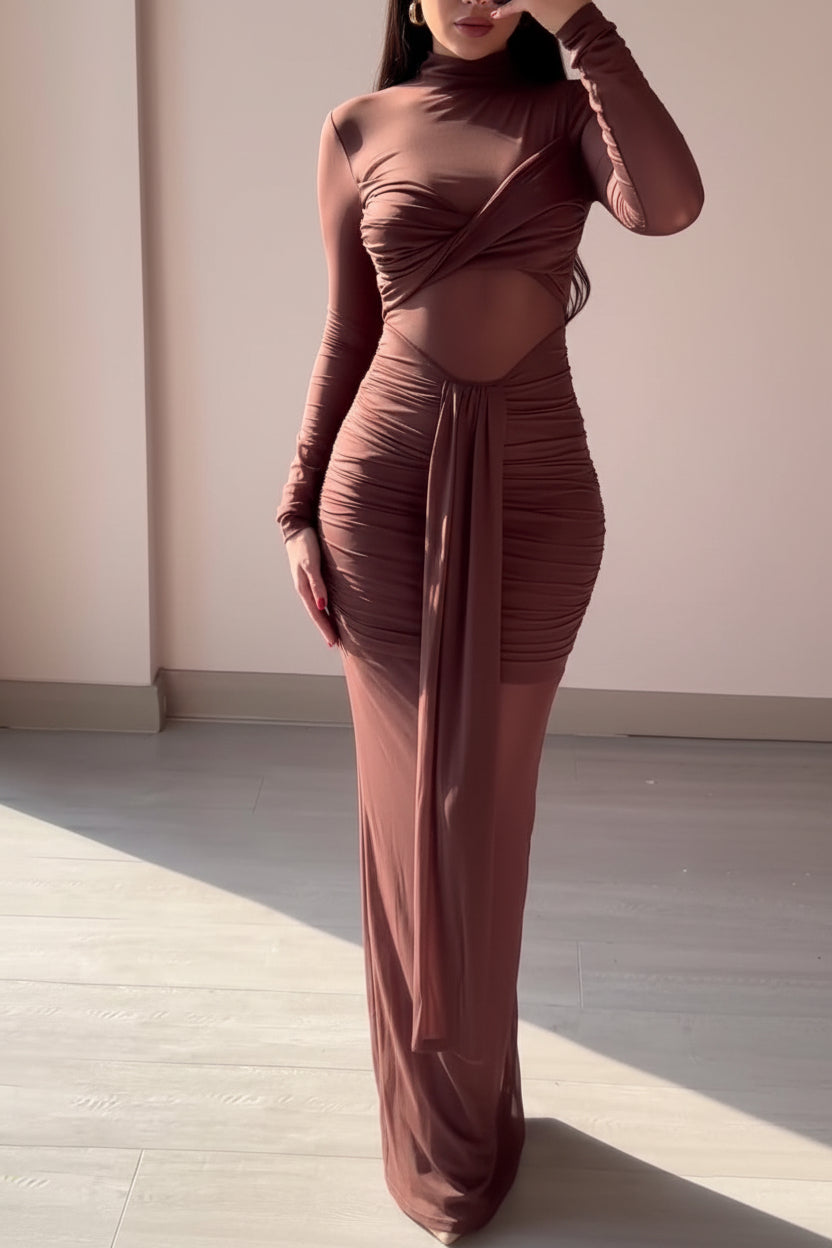 Brown Mesh Long Sleeve Pleated Dress